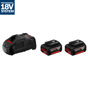 Set acumulatori Li-Ion GBA 18V 2x5.0 Ah+Incarcator