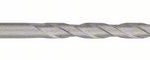 Burghiu pentru gaurire cu percutie SDS plus-1 5 x 100 x 160 mm