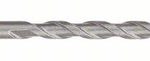 Burghiu pentru gaurire cu percutie SDS plus-1 5,5 x 100 x 160 mm