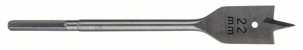 2609255267_bo_diy_u_a_1_786034.jpg Burghiu plat, hexagonal D= 22,0 mm; L= 160 mm - imagine 1