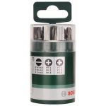 Set mixt 10 biti S PH PZ 25 mm