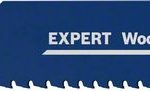 Set de 10 panze de fierastrau sabie EXPERT lemn with Metal Demolition S1167XHM