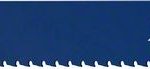 Set de 10 panze de fierastrau sabie EXPERT lemn with Metal Demolition S1267XHM