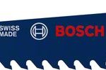 Panza de ferastrau sabie S 641 HM EXPERT Fiber Plaster, 1 buc.