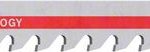 Panza de ferastrau vertical T 341 HM EXPERT Fiber Plaster, 3 buc.