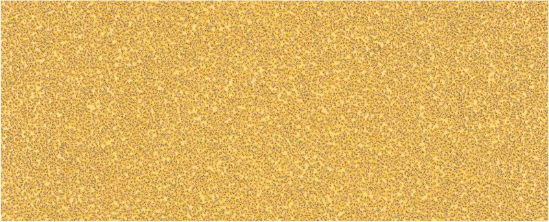 2608900840_bo_pro_u_f_1_2245481 Smirghel EXPERT C470 fara orificii pentru slefuitoare orbitale, 93 x 230 mm, G 40, 10 buc. - imagine 1