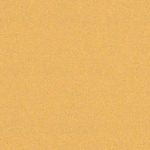 Smirghel EXPERT C470 cu 14 orificii pentru slefuitoare orbitale, 115 x 230 mm, G 100, 10 buc.